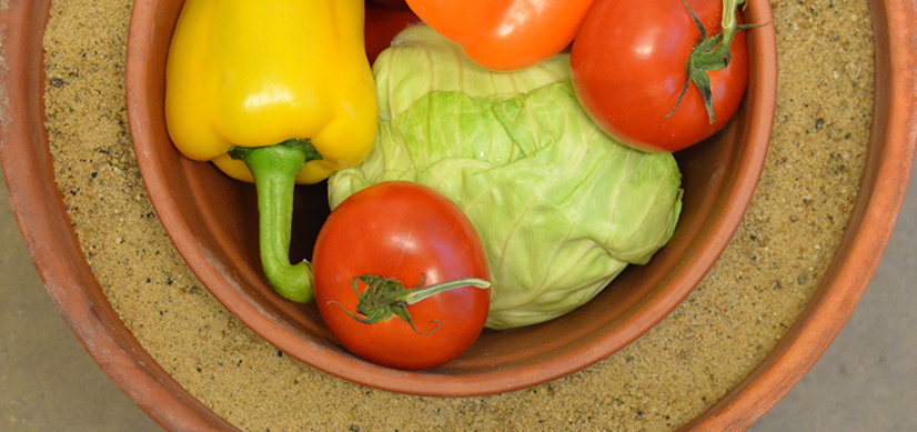 Vegetables are ready for storage in the kind of clay pot cooler best suited for use by individuals and small-scale farmers. Photo: Courtesy MIT D-Lab