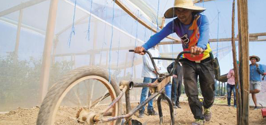 Tool that facilitates the opening of furrows in crops once the earth is prepared, created in the international design meeting in Guaviare. Photos: Courtesy Unal