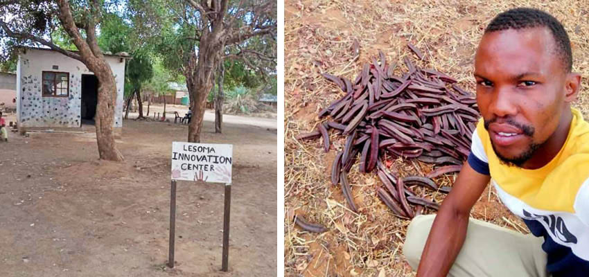 Left: Lesoma Innovation Center. Right: Ernest GB Gobuiwamang from the Lesoma Innovation Center team with Bauhunia Petersania (Mombaimbai Tree) pods. Photos: Courtesy These Hands GSSE.