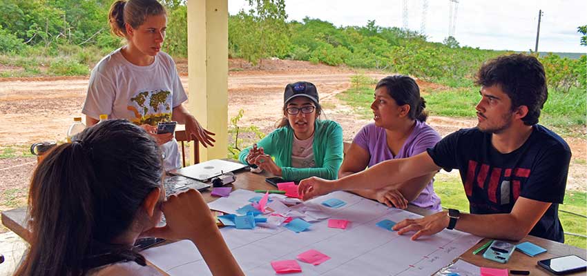 Planning crops that can co-exist in an agroforest.