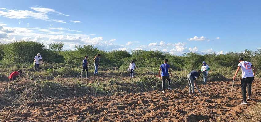 Planting seeds in a small section of the farm: getting some practical experience!