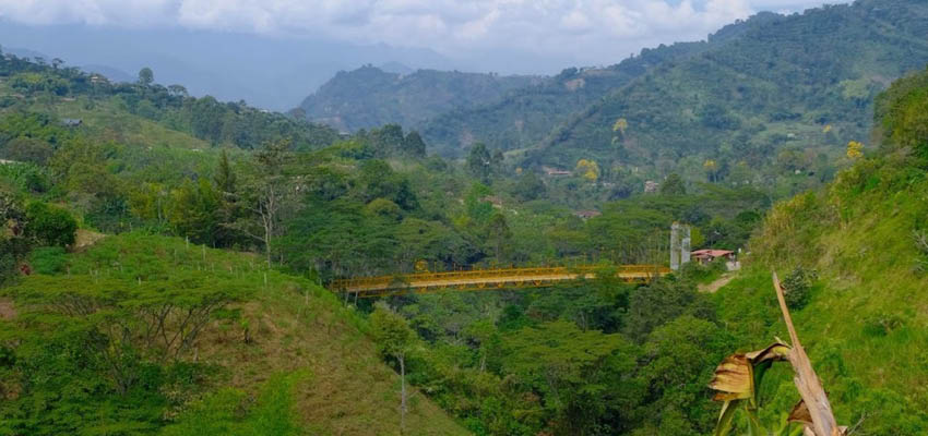 Rolling green hills in Colombia.