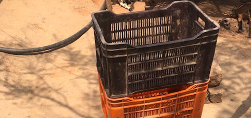 The storage crates farmers use to transport vegetables to the market