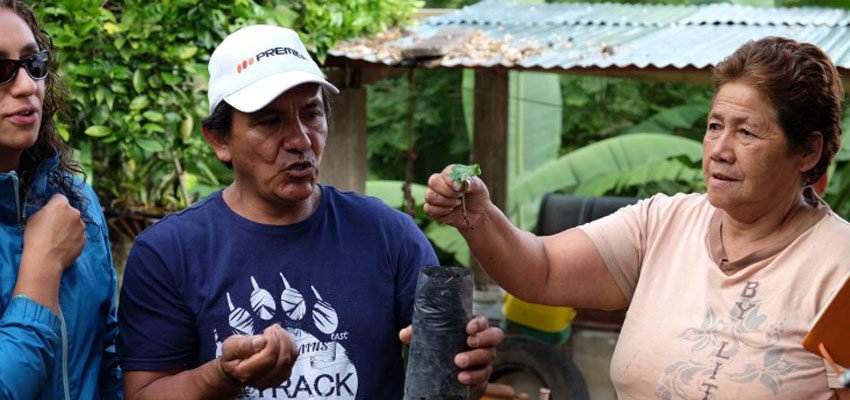 Carlitos and Maria, cofounders of Aprenat, showing us the coffee growing process.