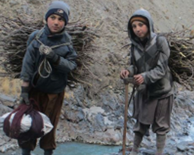 Children collecting firewood