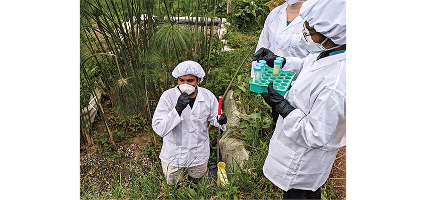 Three people outside with white lab coats, protective white caps, and face masks. One holds a tray of test tubes.